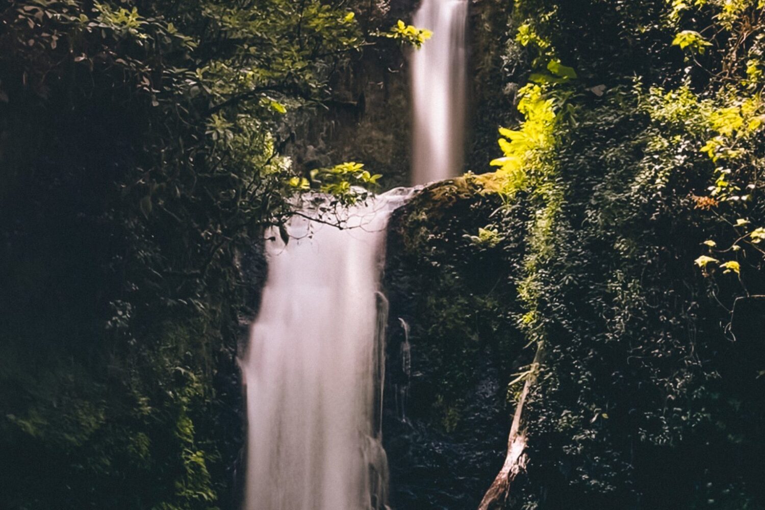 Kimakia Waterfall Hike - Aberdare