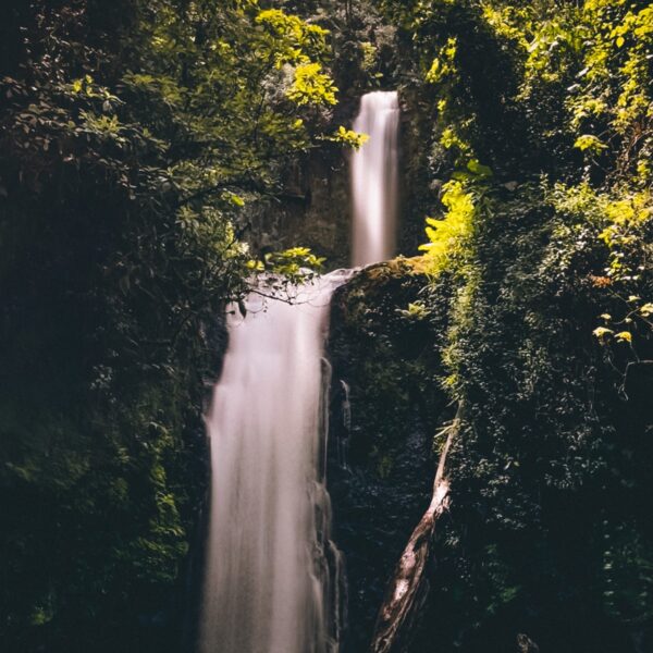 Kimakia Waterfall Hike - Aberdare