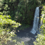 Kanunga Waterfall Hike Ndaka-ini Gatanga