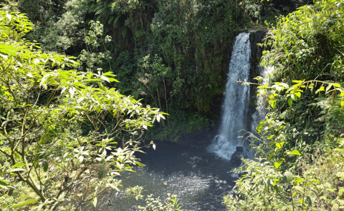 Kanunga Waterfall Hike Ndaka-ini Gatanga