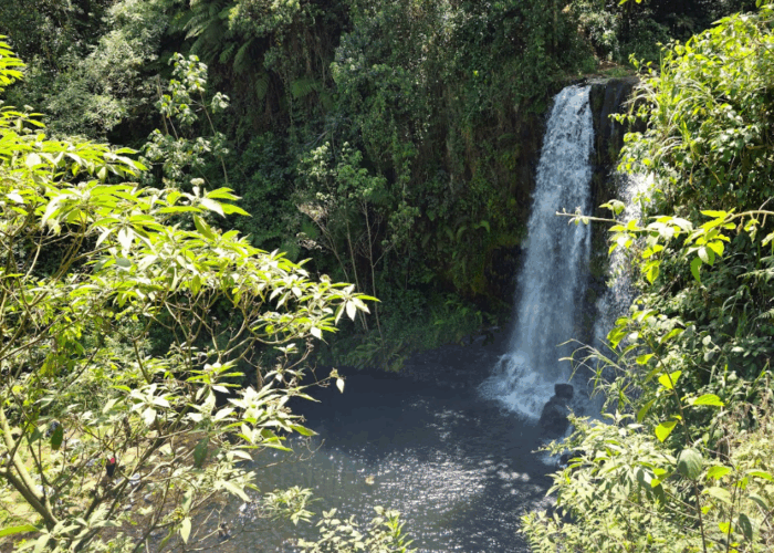 Kanunga Waterfall Hike Ndaka-ini Gatanga
